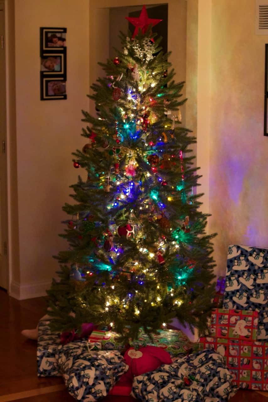 This was our best Christmas morning so far. Abby woke up first, and was surprisingly willing to let the presents sit untouched while we waited for her sisters to wake up. Josie was the second to wake, but no such luck with her. She wanted to investigate! We ended up encouraging Gwen to get out of bed so we could see what Santa brought us.

The girls had lots of fun opening their gifts, and giving gifts. The highlights were a toy train set, an indoor trampoline, some very cute animal hats and gloves, and a bright red toy monster truck for Papa, who just wanted a nice German car. (That was Abby’s gift to John. She looked at Papa’s preferred cars at the store and said they were “too grey, too blue, too boring.” She instead bought a fire truck for Josie, a camper with a beach scene for Gwen, and the monster truck for John. No sports cars for her!)

We took lots of pictures, but Tumblr only allows ten per post. (Sigh.) Christmas afternoon coming next.