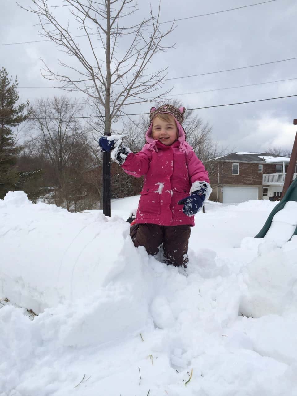 Abby and I had a really good time playing in the snow today. I shoveled our walkways while she climbed the many mountains of snow from the city’s snow plows. After I shoveled about a quarter of the very deep snow drifts on our driveway, we both raced through our backyard to catch the man snow-plowing our neighbors driveway. A little money from us, and he plowed ours too. Abby really liked watching, and my back was much happier. John took her out for a good snowball fight and more exploration later. It was a good day for Abby in the snow.

Gwen and Josie haven’t been outside in the snow yet, but I did bring some snow inside for them. My handful of snow melted pretty quickly, but not before they both experimented with tasting snow. Josie was a big fan of eating it. Gwen preferred crushing it between her fingers.
