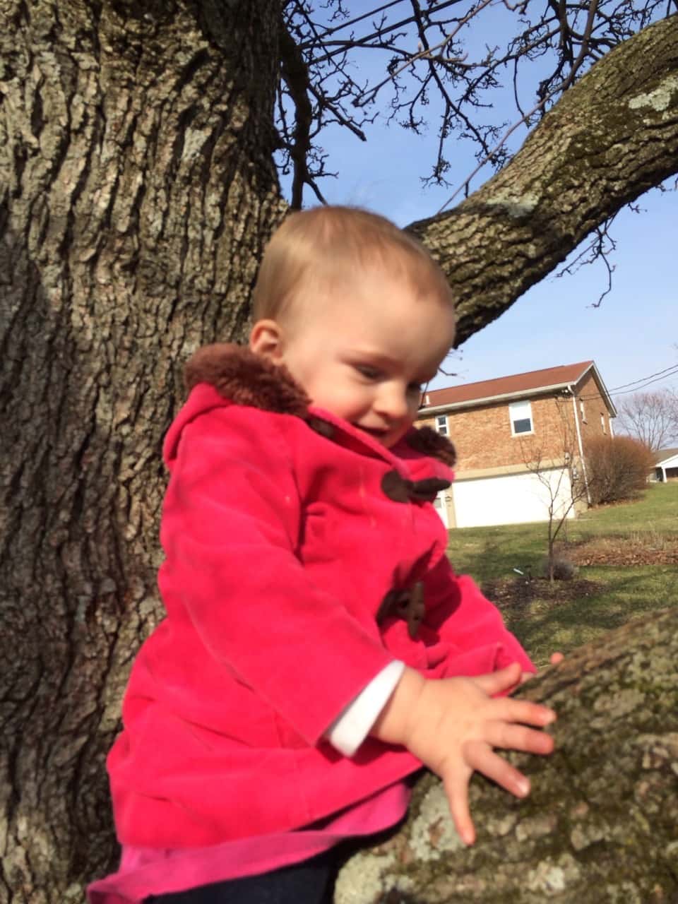 Hooray! I finally think we are all recovered from the horrible stomach illness. We enjoyed the lovely weather today with a trip to the library in the morning for storytime, and a mile walk around the neighborhood after naps. The girls especially enjoyed playing in the front yard (and climbing the tree). I hope they sleep well tonight!