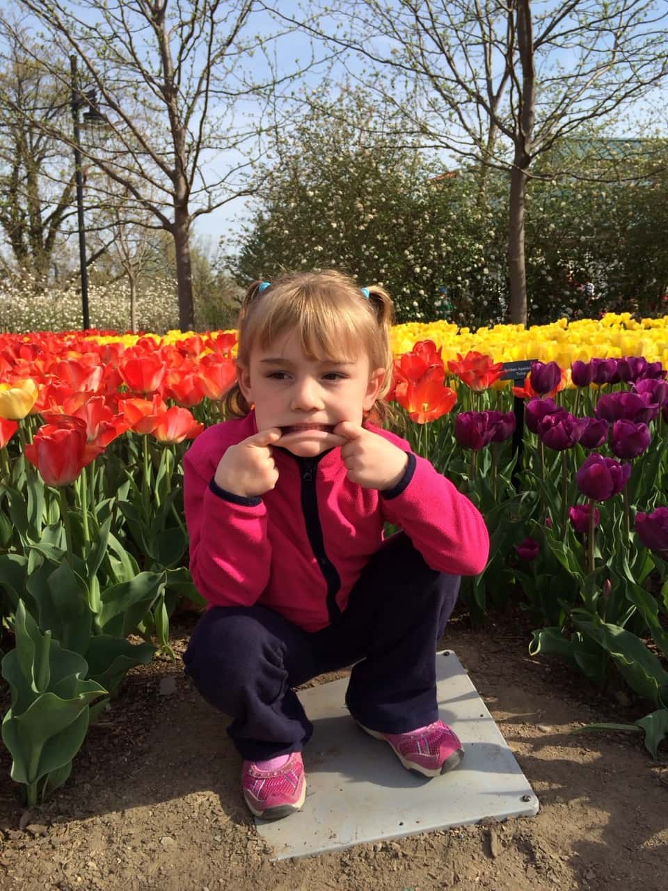 We had a fun morning at the Zoo today. Abby, the frequent Zoo adventurer, was our tour guide. This was our first trip this spring and the babies are now old enough to be excited by the animals. They really liked watching the giraffes, cheetah, penguins, and polar bears. They were also quite fond of the goats. They don’t care for dogs, but they’re more than happy to brush goats.
