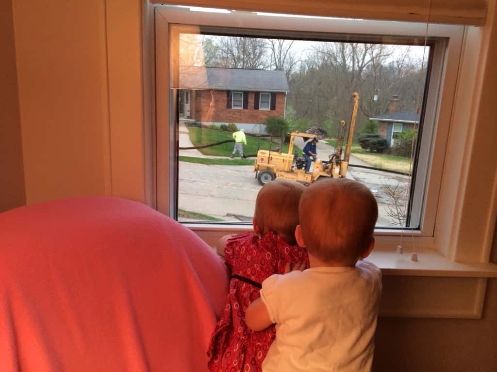 The babies were transfixed by the activities on our street today.