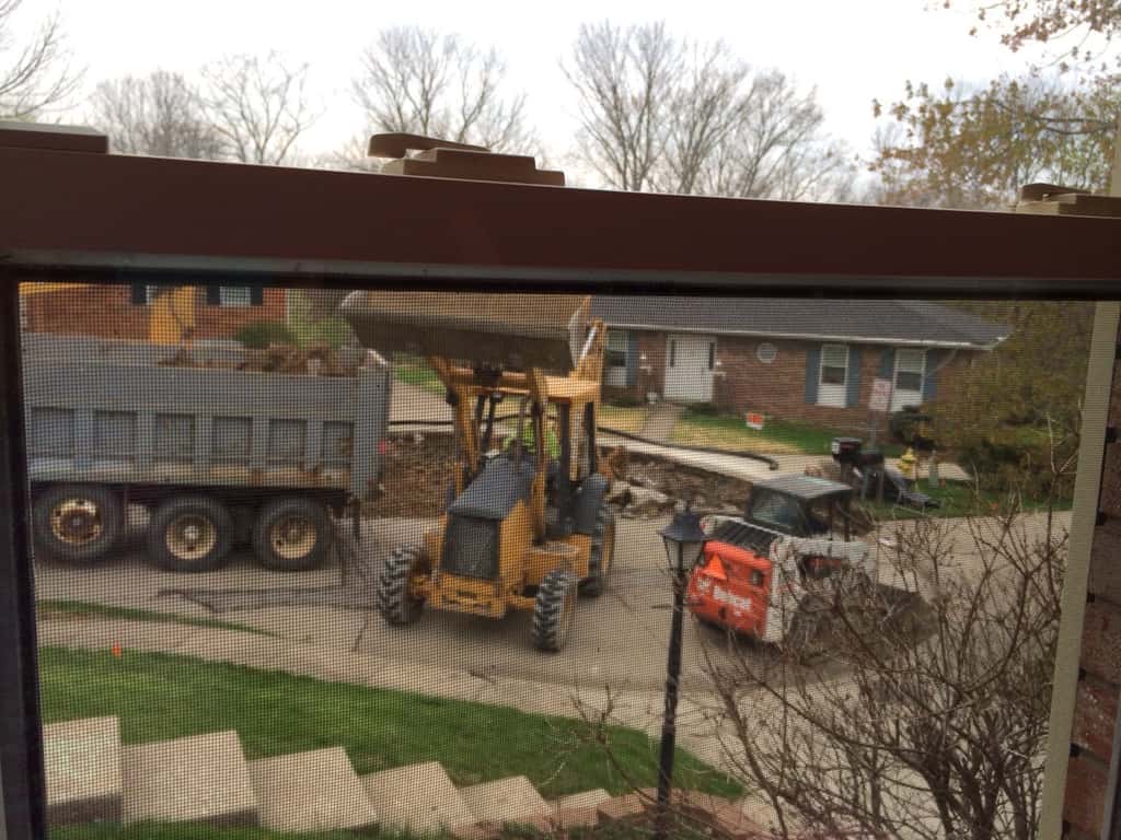 The babies were transfixed by the activities on our street today.