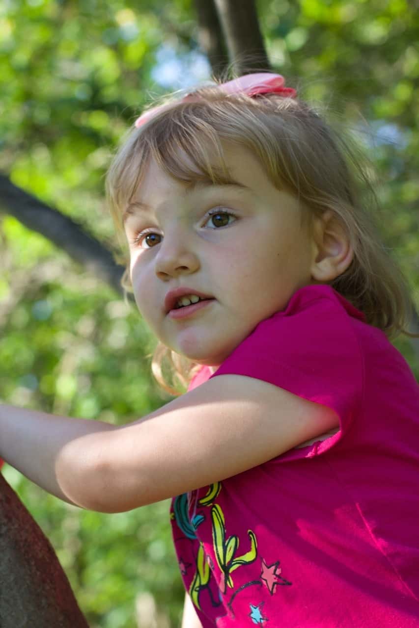 First she scaled “the mountain” and then she climbed a tree.
