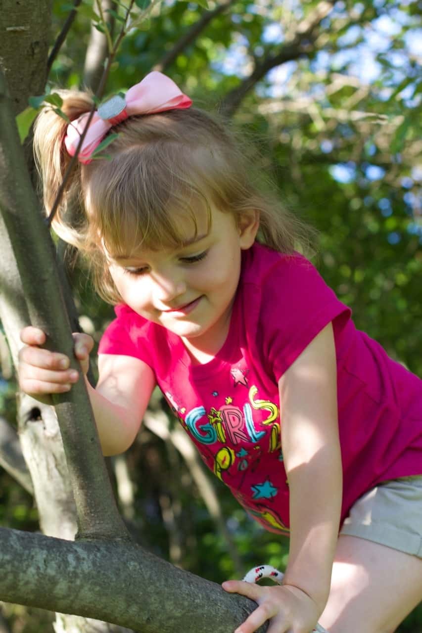 First she scaled “the mountain” and then she climbed a tree.