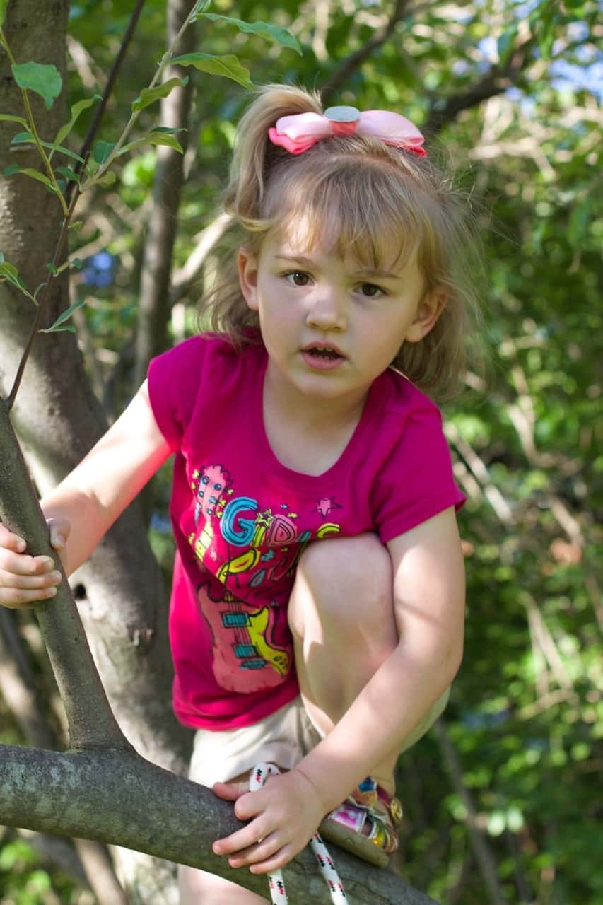 First she scaled “the mountain” and then she climbed a tree.