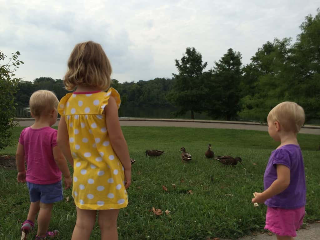 Great morning feeding the ducks and splashing around at Winton Woods Park