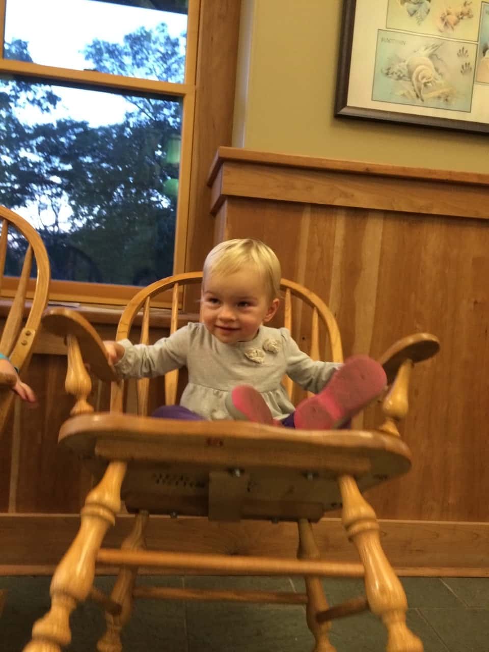 Amelia and Ron are married! They had a wonderful wedding at Lake Hope. We were all too busy having fun to take any really good pictures though. Lucky for us there was a photographer! More and better pictures coming soon. (Pictures: after the ceremony; rehearsal dinner; an enthusiastic rocking Gwen; outside our cabin; top bunk jumpers; silliness after lunch on the road).