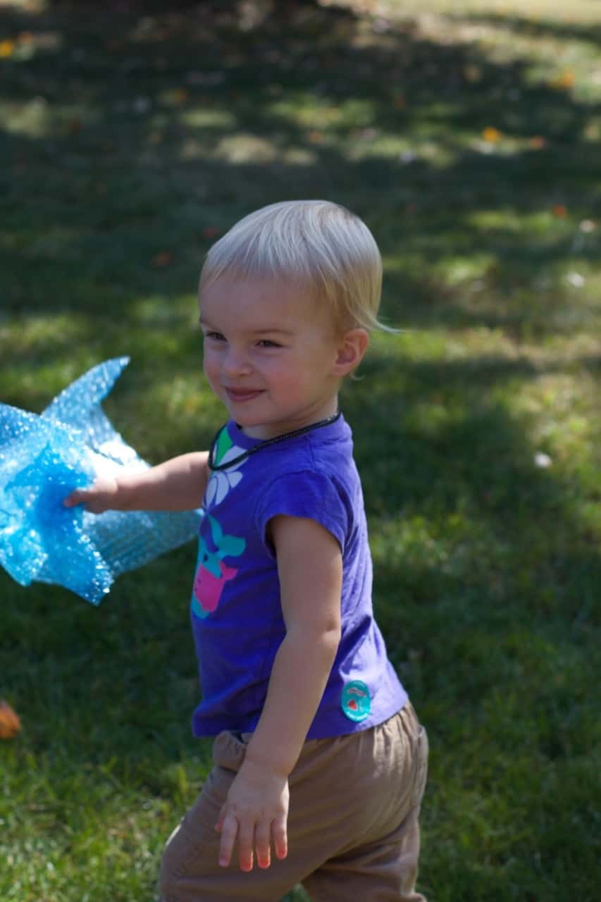 Fun in the backyard (taken a few weeks ago).