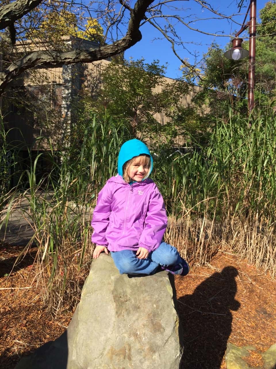 We’re soaking up the lovely weather while we can! Yesterday, we fed “goaties,” rode the train, and had other fun with Grandma and Grandpa at the Zoo. Today, we enjoyed petting farm animals (more goats!), a hayride, selecting pumpkins at a pumpkin patch, ghost bowling, and other Halloween fun with Angel and Grandma Susan at Parky’s Farm at Winton Woods Park. Too bad we previously scheduled flu shots for tomorrow.