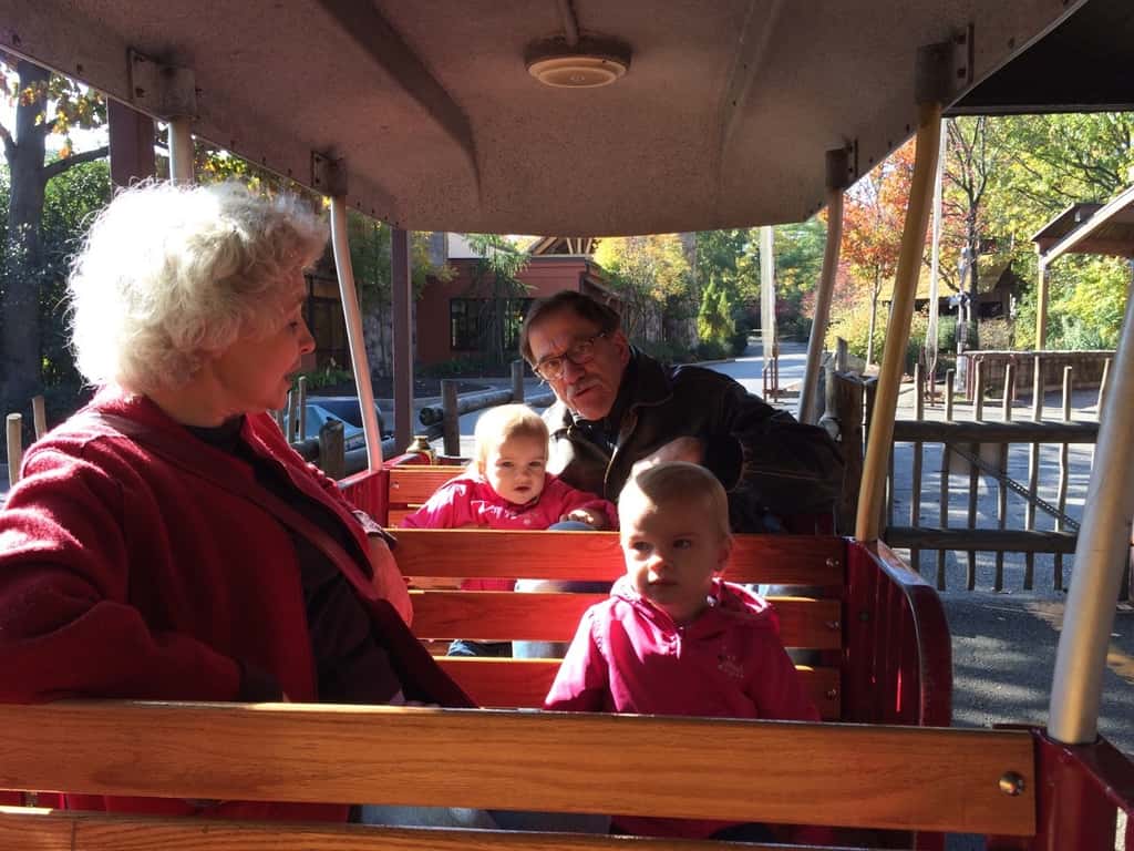 We’re soaking up the lovely weather while we can! Yesterday, we fed “goaties,” rode the train, and had other fun with Grandma and Grandpa at the Zoo. Today, we enjoyed petting farm animals (more goats!), a hayride, selecting pumpkins at a pumpkin patch, ghost bowling, and other Halloween fun with Angel and Grandma Susan at Parky’s Farm at Winton Woods Park. Too bad we previously scheduled flu shots for tomorrow.