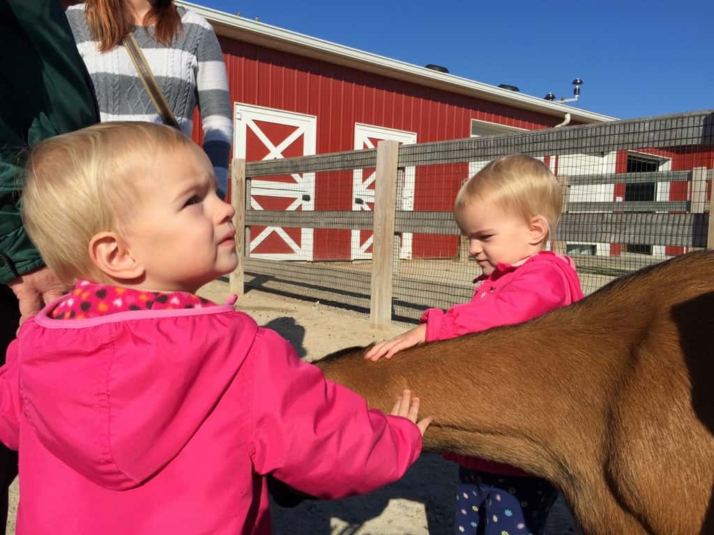 We’re soaking up the lovely weather while we can! Yesterday, we fed “goaties,” rode the train, and had other fun with Grandma and Grandpa at the Zoo. Today, we enjoyed petting farm animals (more goats!), a hayride, selecting pumpkins at a pumpkin patch, ghost bowling, and other Halloween fun with Angel and Grandma Susan at Parky’s Farm at Winton Woods Park. Too bad we previously scheduled flu shots for tomorrow.