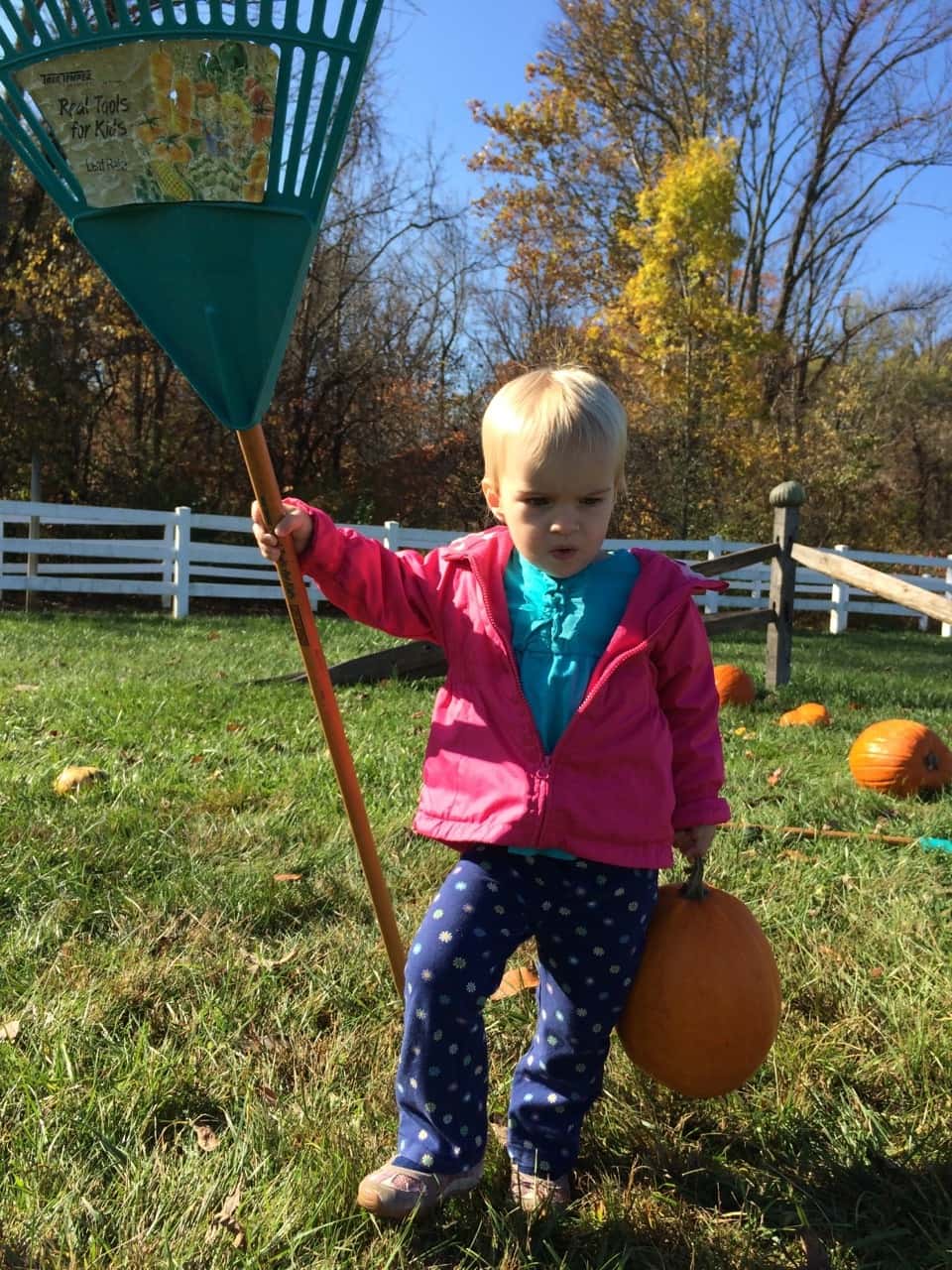 We’re soaking up the lovely weather while we can! Yesterday, we fed “goaties,” rode the train, and had other fun with Grandma and Grandpa at the Zoo. Today, we enjoyed petting farm animals (more goats!), a hayride, selecting pumpkins at a pumpkin patch, ghost bowling, and other Halloween fun with Angel and Grandma Susan at Parky’s Farm at Winton Woods Park. Too bad we previously scheduled flu shots for tomorrow.