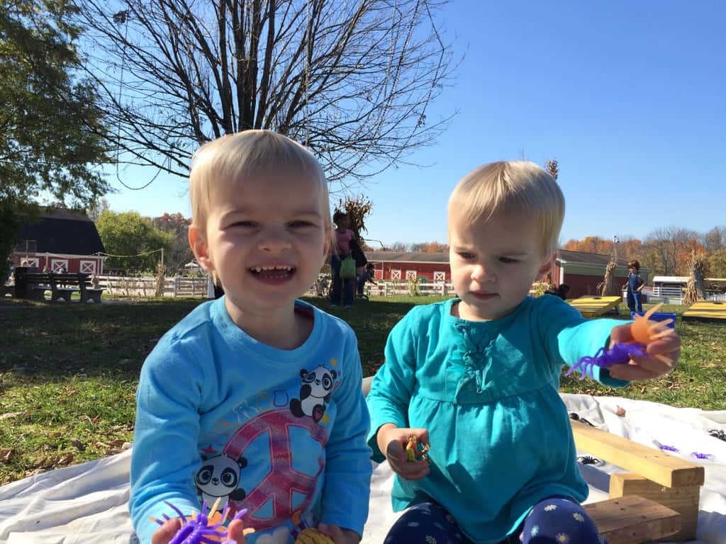 We’re soaking up the lovely weather while we can! Yesterday, we fed “goaties,” rode the train, and had other fun with Grandma and Grandpa at the Zoo. Today, we enjoyed petting farm animals (more goats!), a hayride, selecting pumpkins at a pumpkin patch, ghost bowling, and other Halloween fun with Angel and Grandma Susan at Parky’s Farm at Winton Woods Park. Too bad we previously scheduled flu shots for tomorrow.