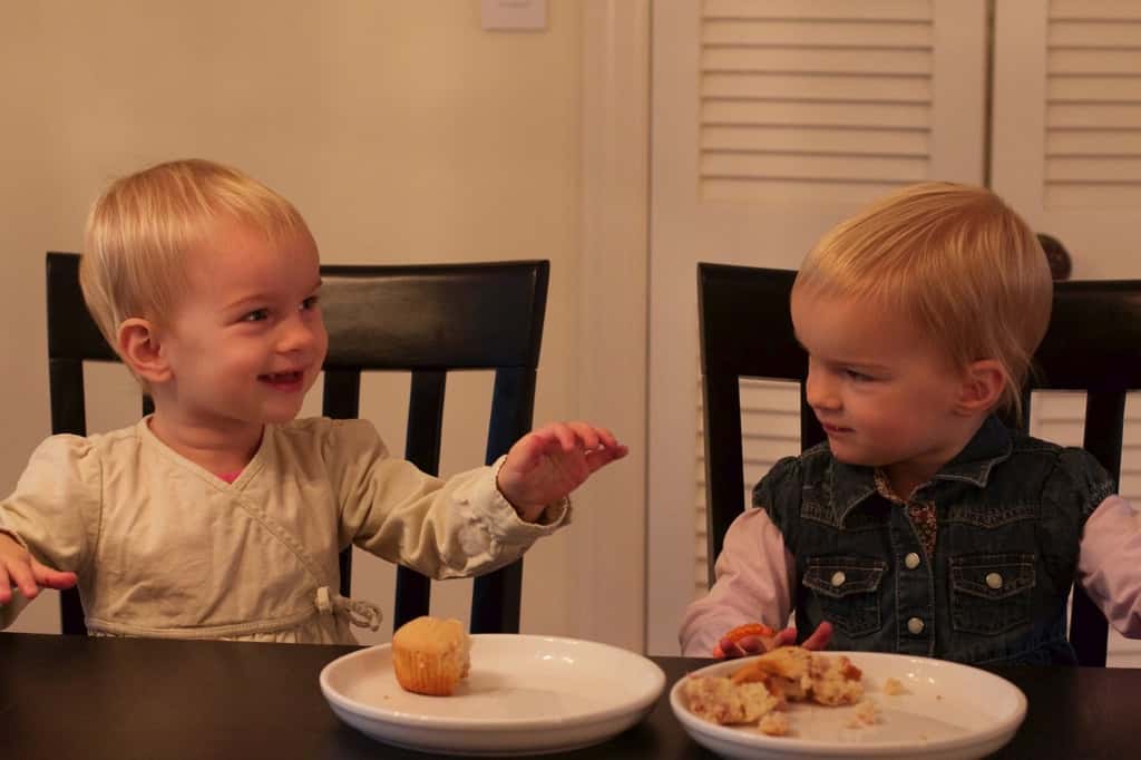 A week after the birthday fun, but here are some pictures of the 2 year olds.