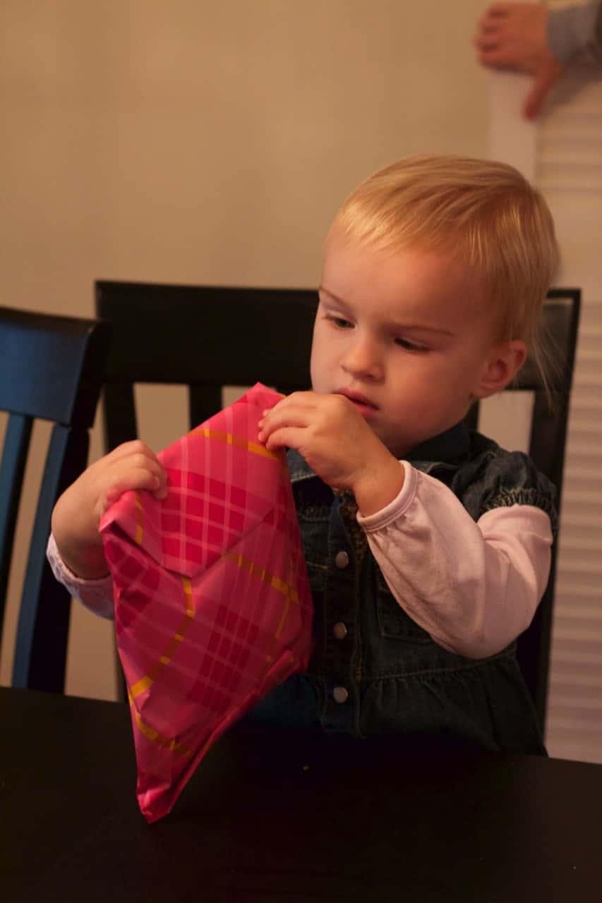 A week after the birthday fun, but here are some pictures of the 2 year olds.