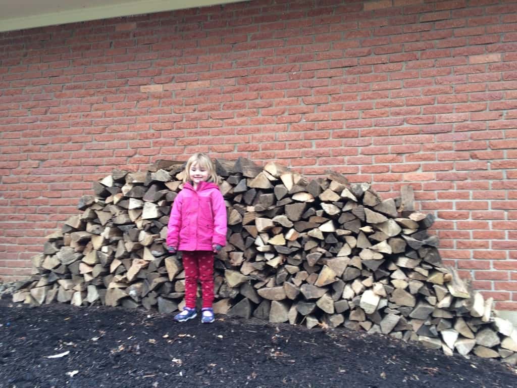 I’m shocked by how much 1⁄3 of a cord of firewood is, and impressed with my stacking helpers!