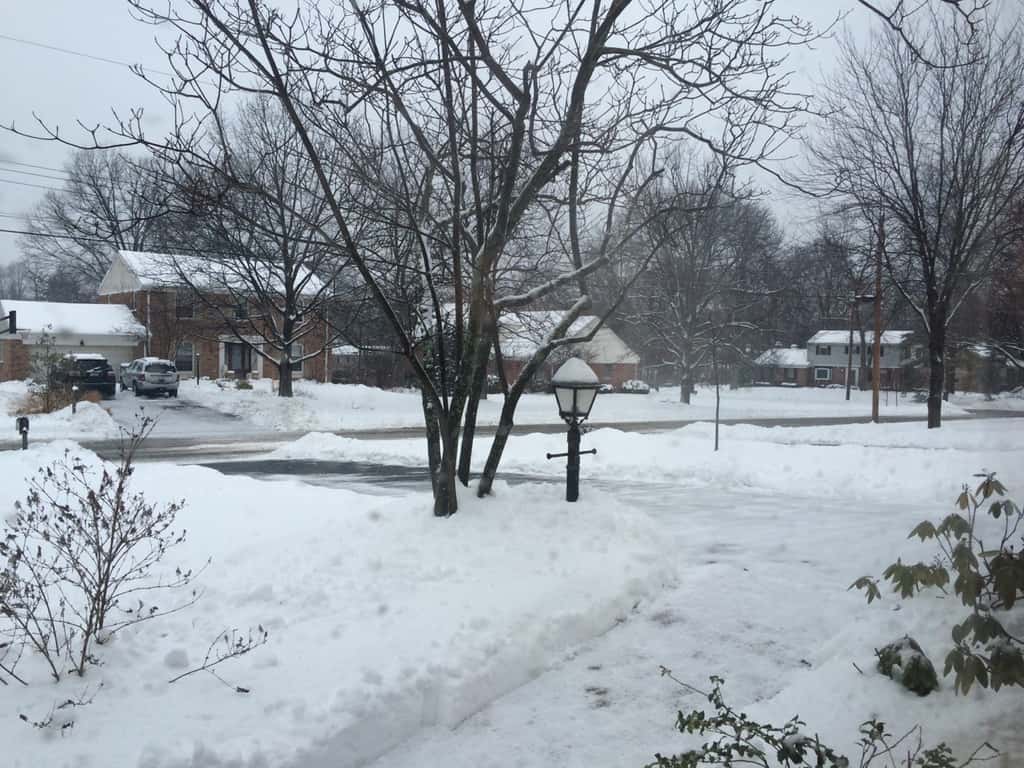 I’m so thankful for kind neighbors with snowblowers. My task was made so much easier this morning. As I type this at 2:30pm though, huge snowflakes are falling and I already need to shovel again!