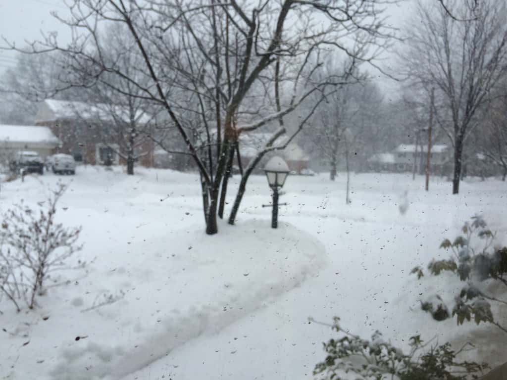 I’m so thankful for kind neighbors with snowblowers. My task was made so much easier this morning. As I type this at 2:30pm though, huge snowflakes are falling and I already need to shovel again!