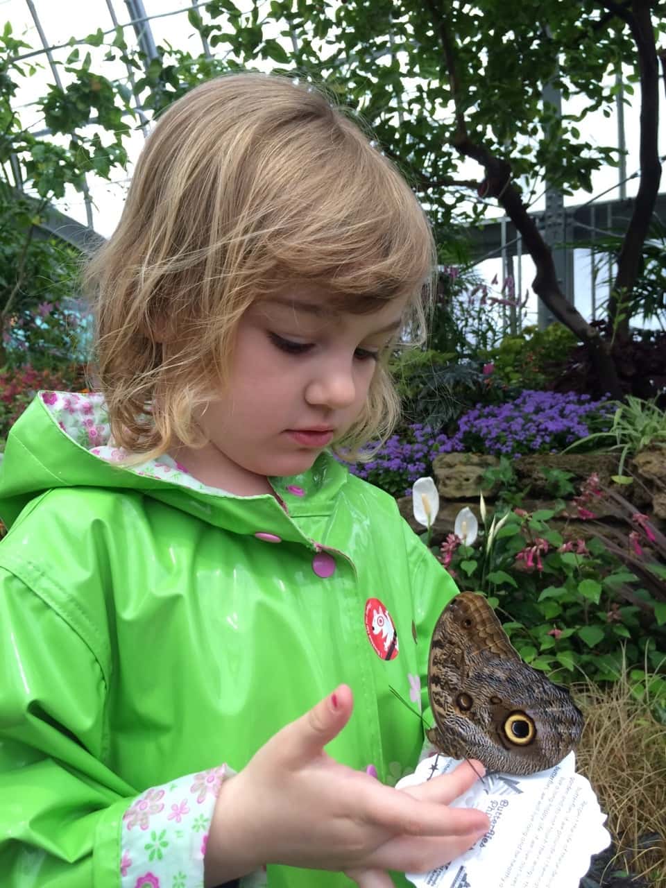 Abby communing with butterflies at Krohn Conservatory.