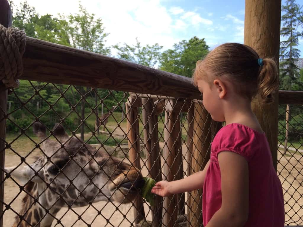 Mama and Abby morning at the Zoo.