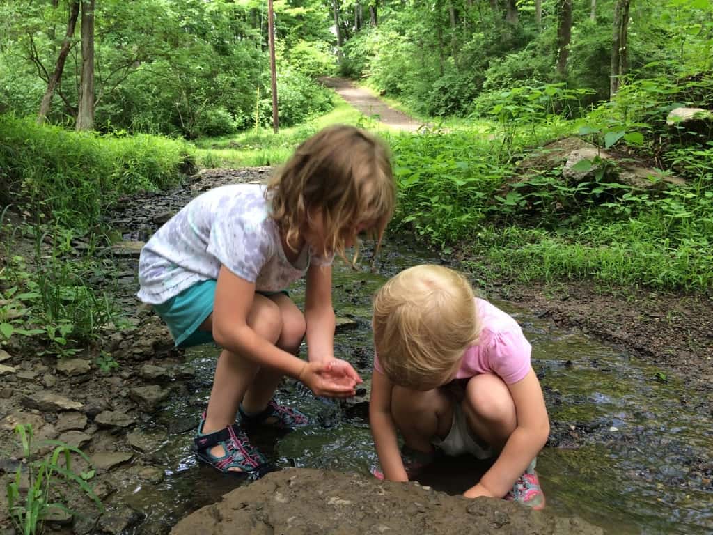 Looking for critters at Sellman Park this morning.