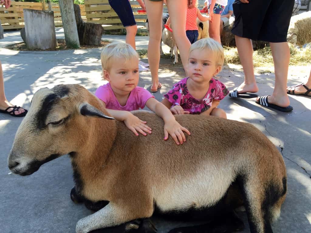 Our first out-of-town trip with all three girls was a big success. We drove to Columbus, stayed at a hotel, went swimming, and went to the Columbus Zoo.

Even though the hotel’s pool was filled almost entirely with chlorine and the zoo had more rides and souvenir stalls than animals, we had a blast. Our girls really enjoyed the adventure.

We’re already looking forward to our next trip in September.