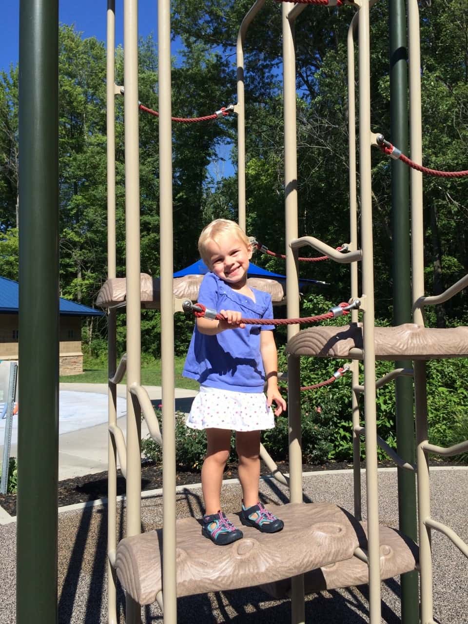 I took the pictures, but they did all this brave climbing all by themselves.