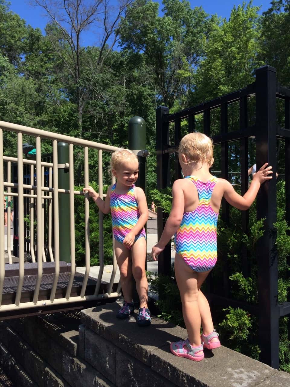 I took the pictures, but they did all this brave climbing all by themselves.