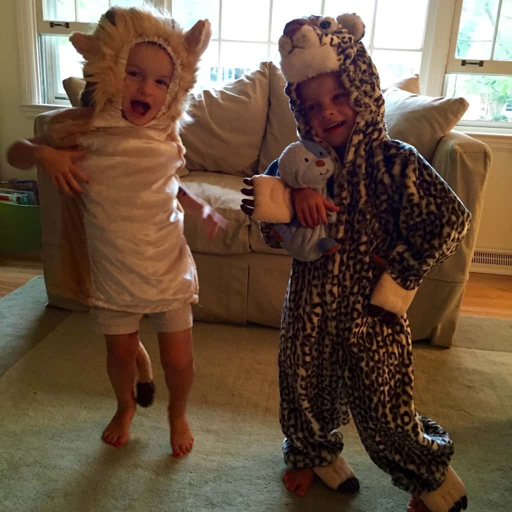 A lion, a leopard, and a blue dog. A shark!