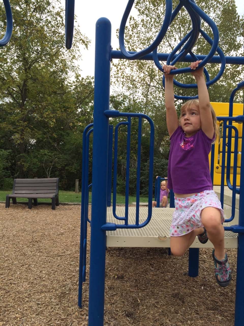 Only part of our weekend was spent worrying about carpenter ants.