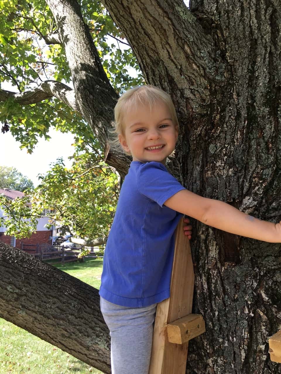 These two rascals figured out how to climb the ladder and get up in the tree. Big girls!