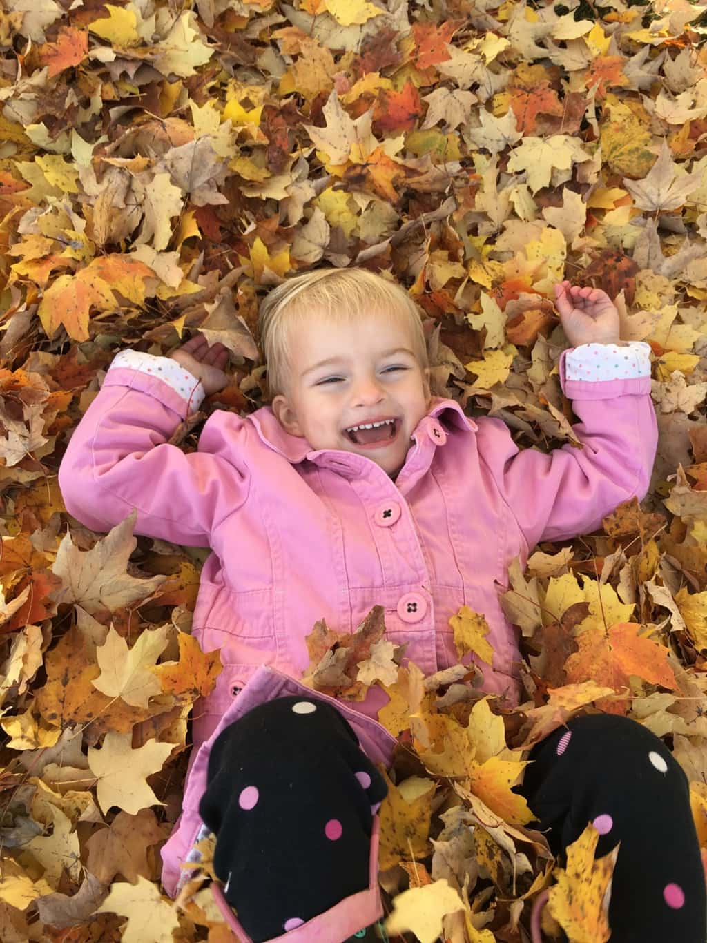 Fall leaf fun has finally returned!