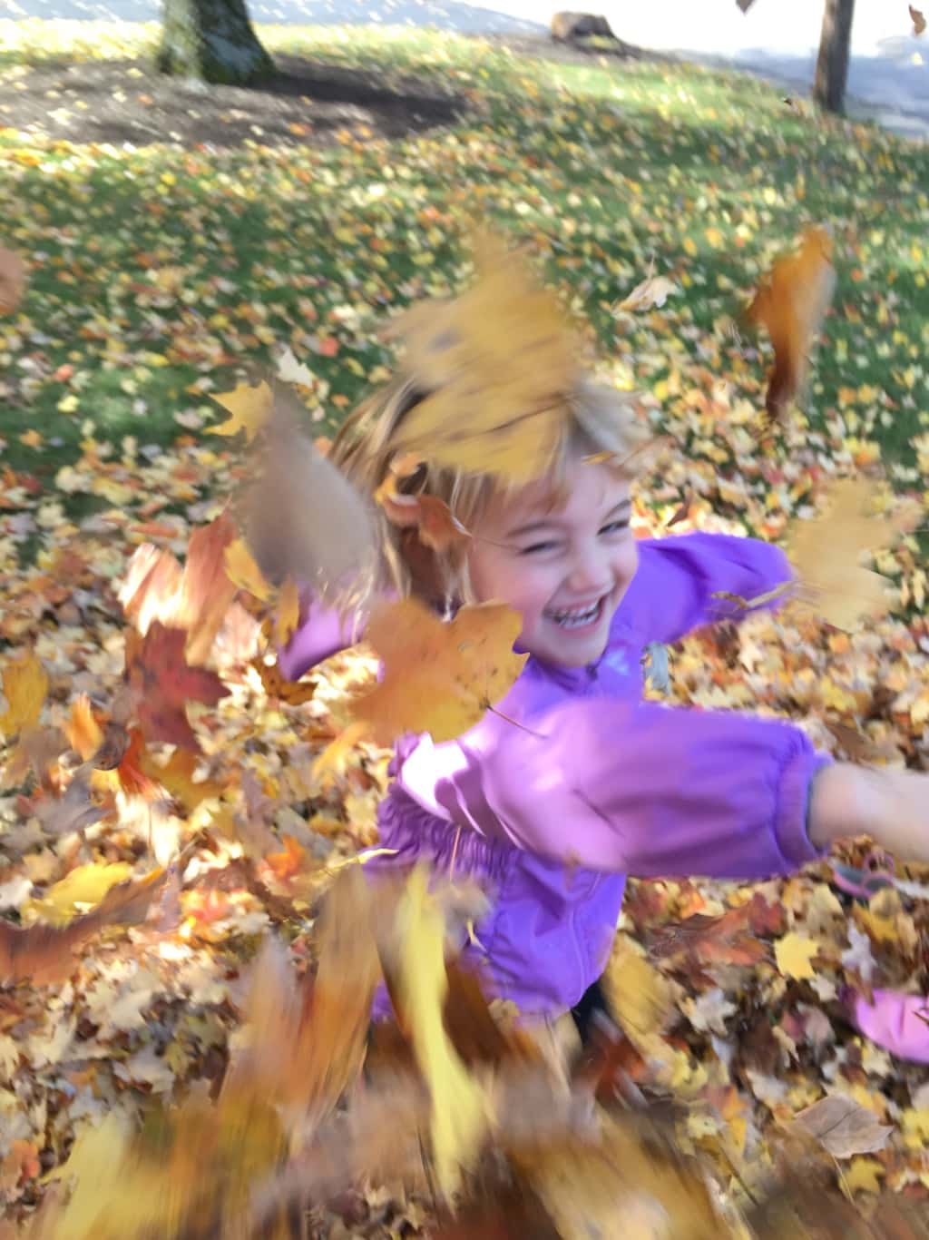 Fall leaf fun has finally returned!