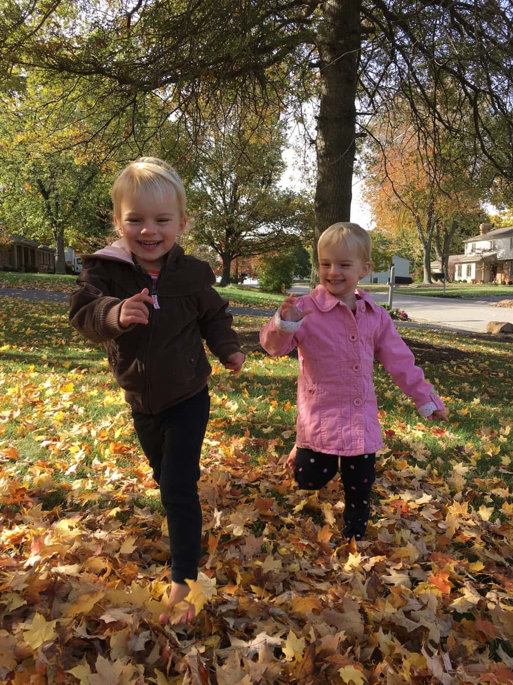 Fall leaf fun has finally returned!