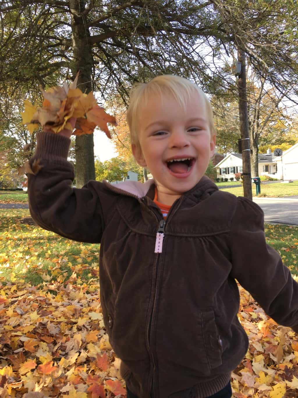 Fall leaf fun has finally returned!
