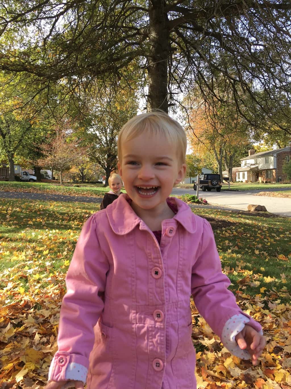 Fall leaf fun has finally returned!