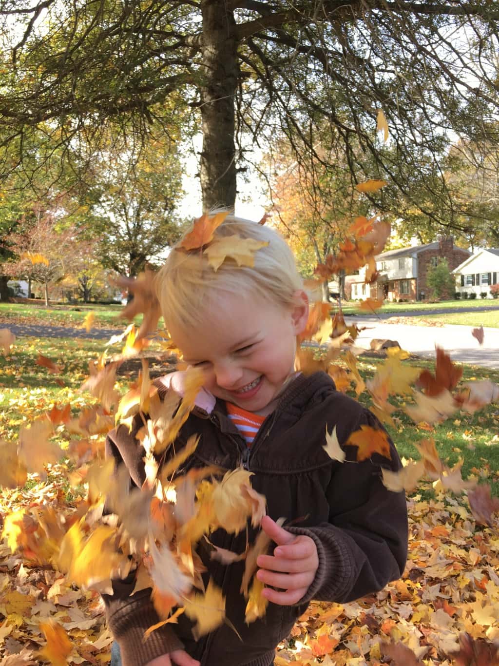Fall leaf fun has finally returned!