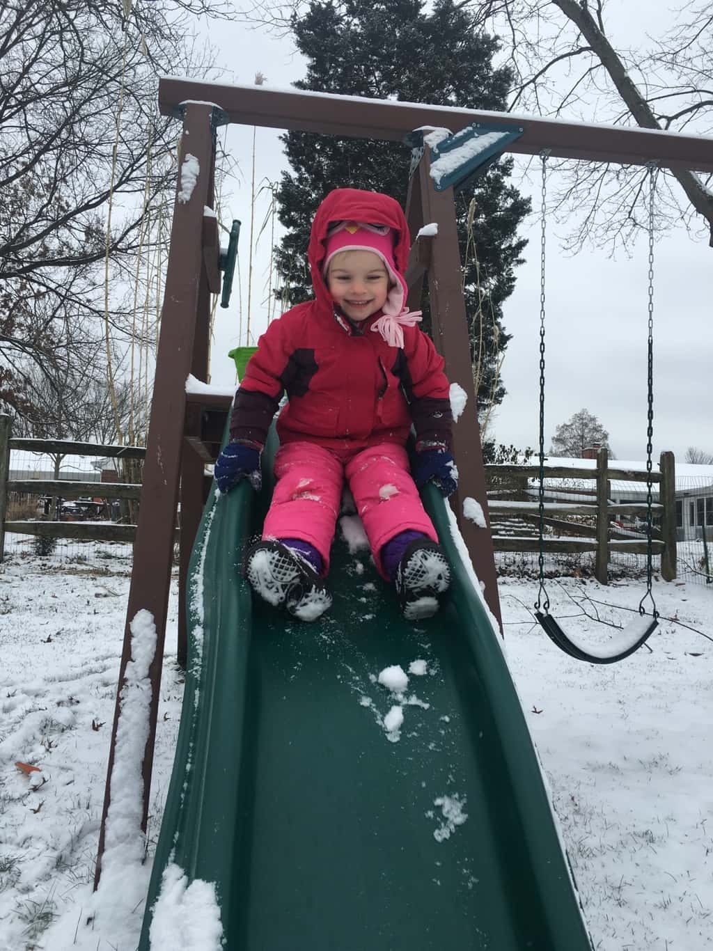 Gwen was the only one brave enough and/or well enough to join me in the snow this morning. We had a good time together!