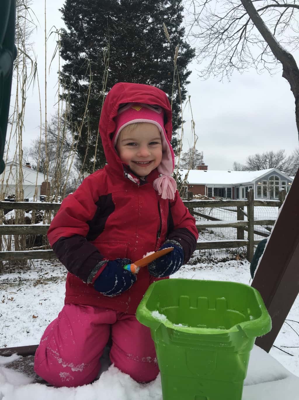 Gwen was the only one brave enough and/or well enough to join me in the snow this morning. We had a good time together!