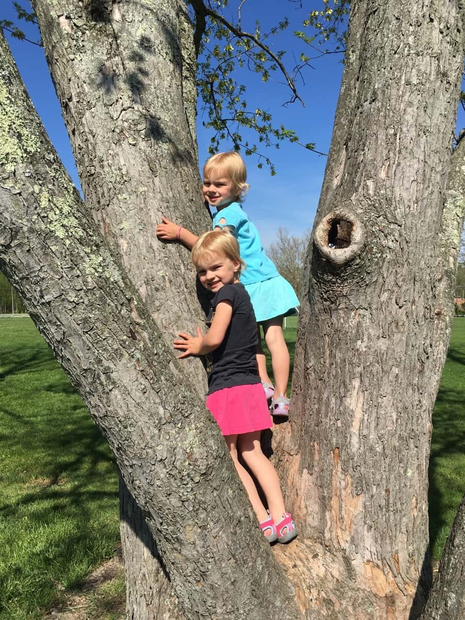 It was a double park day for us! We visited two lovely Indian Hill parks. Camp Livingston in the morning and (King) Stephan Field in the afternoon.