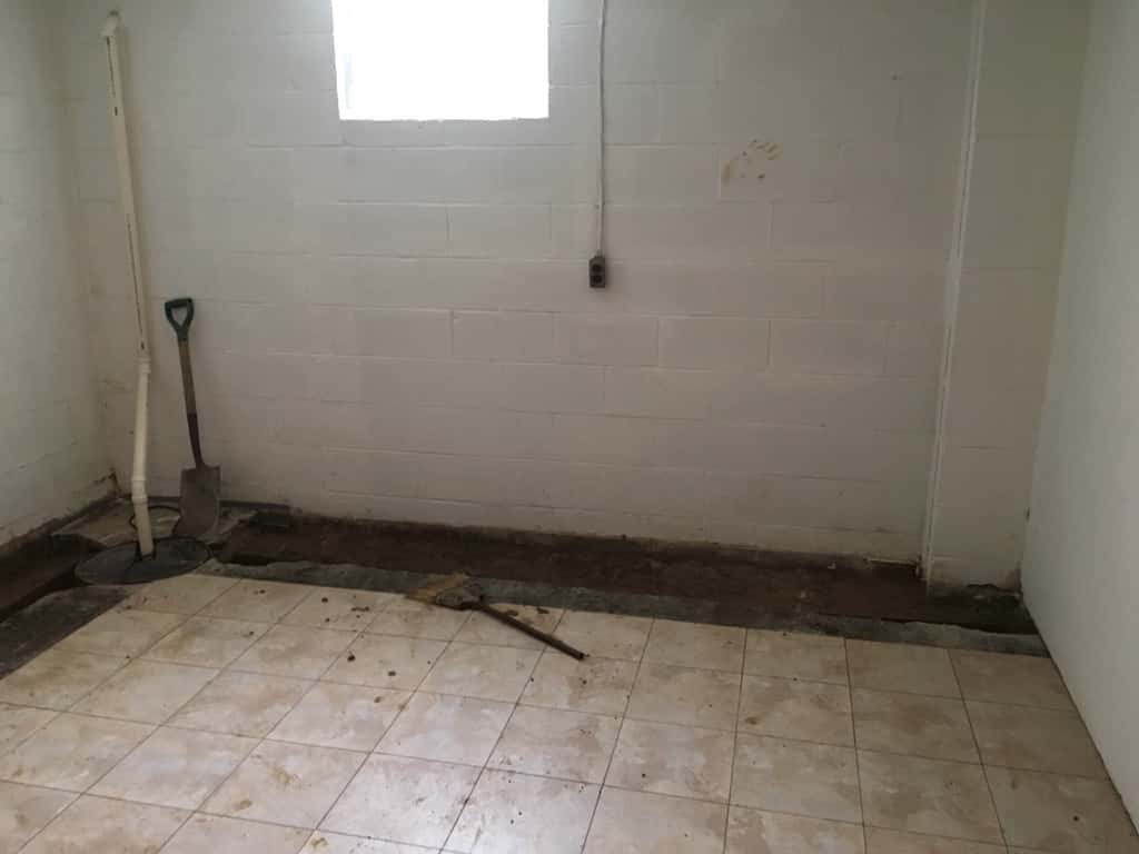 And now the basement project begins.