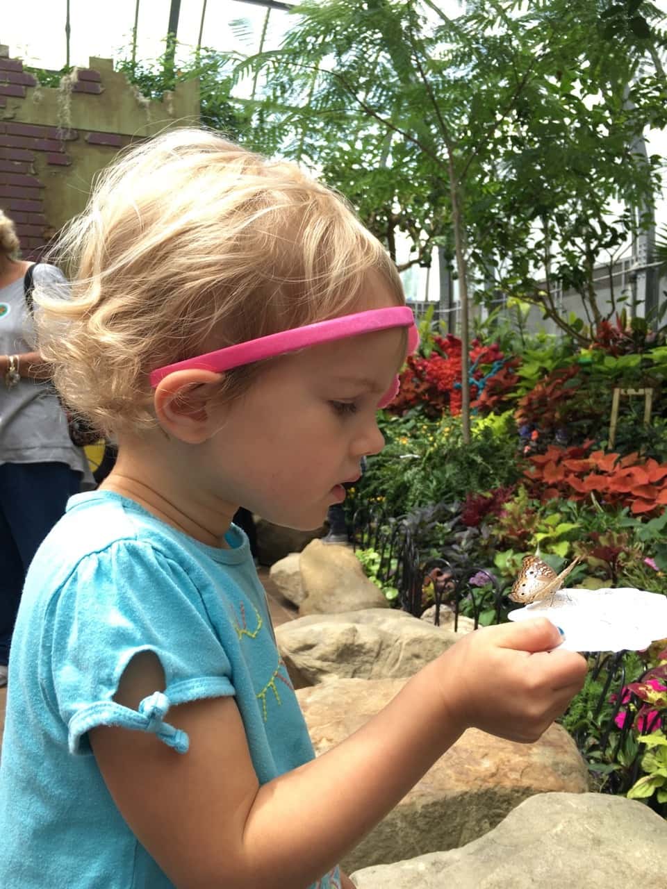 Adventure #2: our visit to the Butterfly Show at Krohn Conservatory. The matching blue shirts were a happy accident. The butterflies seemed to like this color, and they really liked Gwen and Josie’s flower headbands. The girls were often surprised when butterflies landed on them.