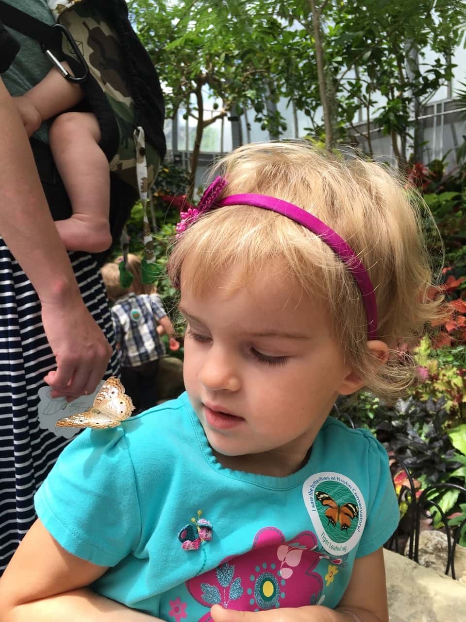 Adventure #2: our visit to the Butterfly Show at Krohn Conservatory. The matching blue shirts were a happy accident. The butterflies seemed to like this color, and they really liked Gwen and Josie’s flower headbands. The girls were often surprised when butterflies landed on them.