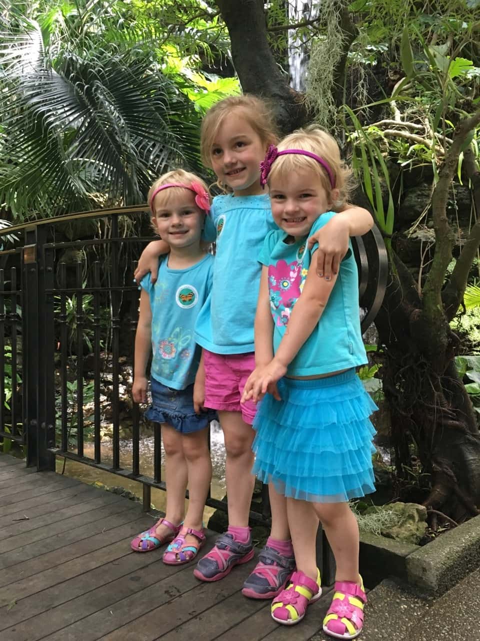Adventure #2: our visit to the Butterfly Show at Krohn Conservatory. The matching blue shirts were a happy accident. The butterflies seemed to like this color, and they really liked Gwen and Josie’s flower headbands. The girls were often surprised when butterflies landed on them.