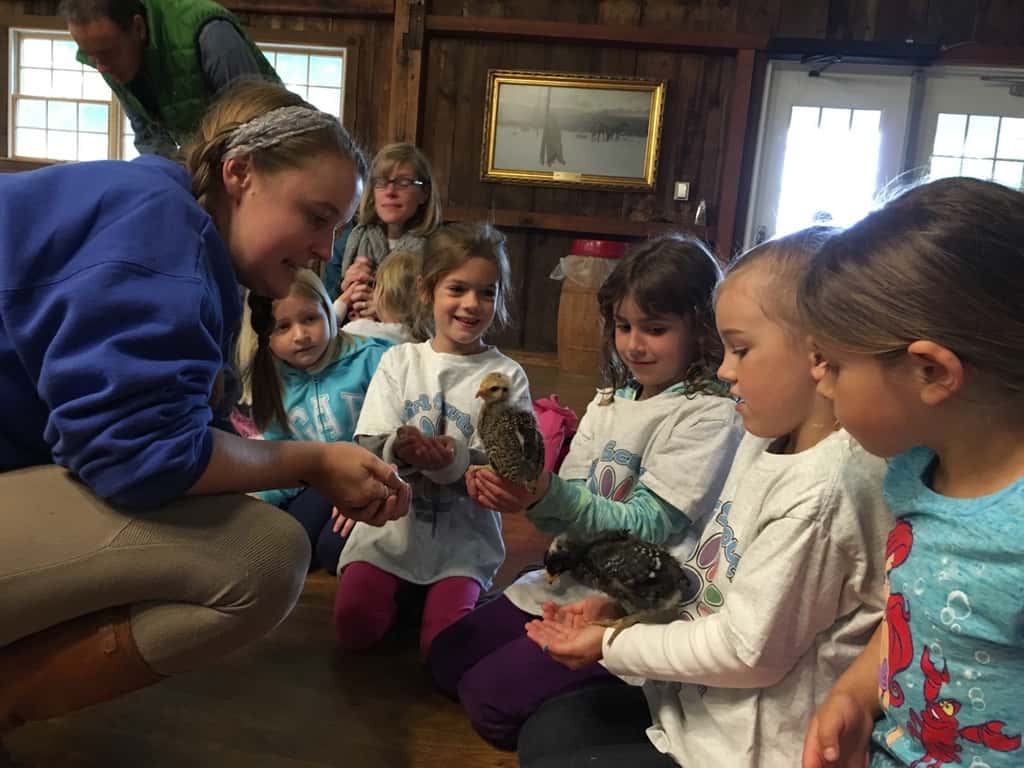 Thanks to our proceeds from the Girl Scout cookie sale, our Daisies (and little siblings) got to enjoy a special program at Parky’s Farm this afternoon. Everyone especially liked petting and holding the baby chickens.