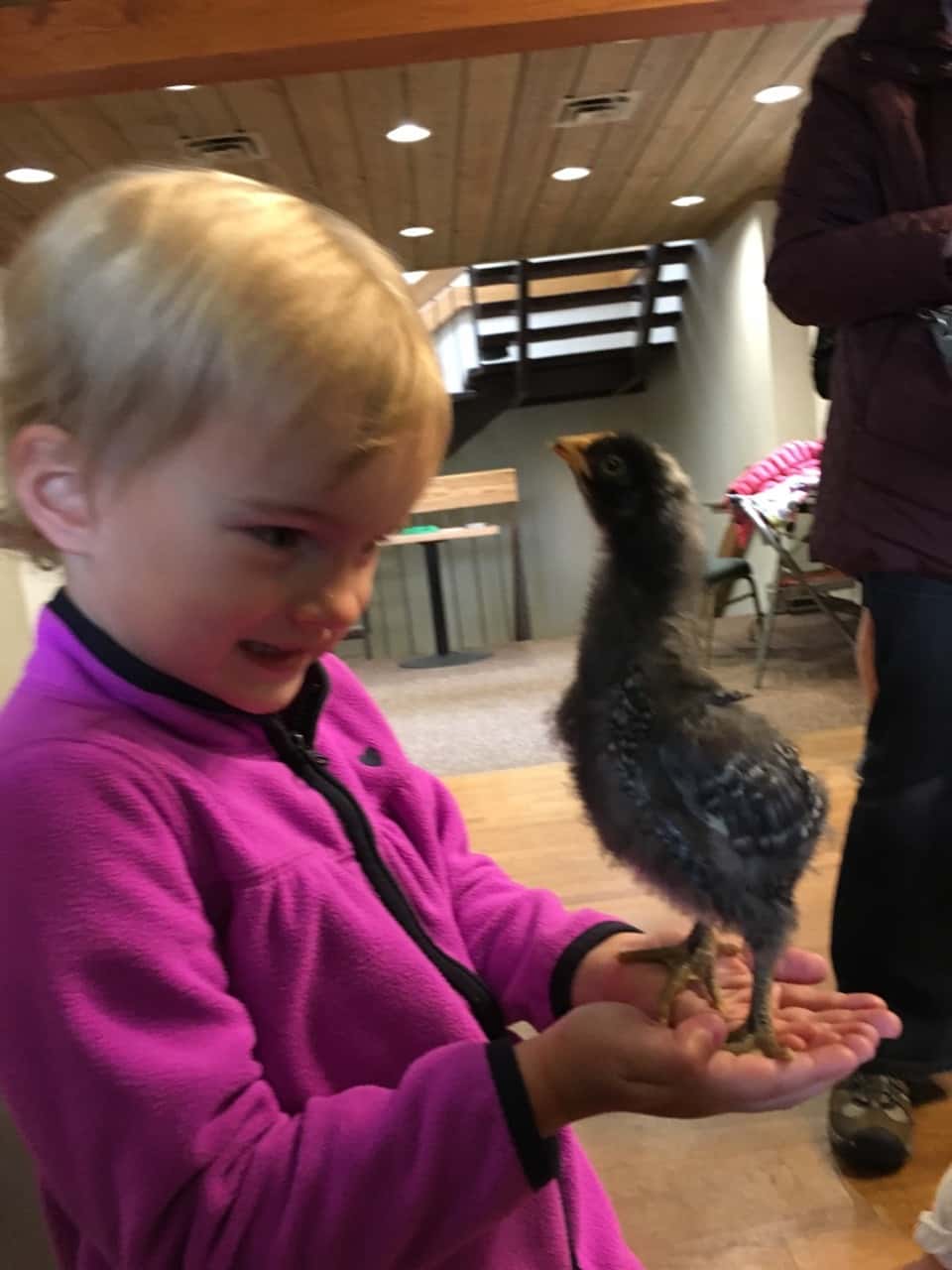 Thanks to our proceeds from the Girl Scout cookie sale, our Daisies (and little siblings) got to enjoy a special program at Parky’s Farm this afternoon. Everyone especially liked petting and holding the baby chickens.