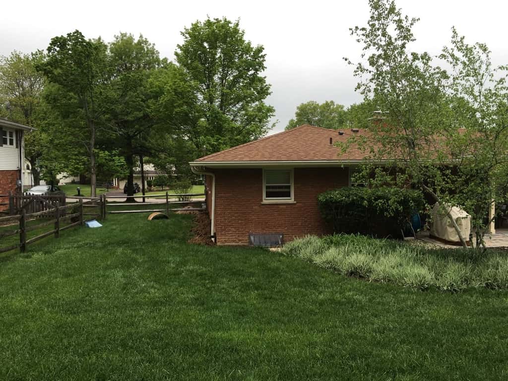 The big first steps for the new garden bed are complete! It’s definitely still a work in progress, but the area is already so much better. No more standing water! I replanted all of the Japanese forest grass, and added a lovely snowball viburnum. We still need rocks, mulch, lilies, and for the horrible smell of decomposing grass to go away!