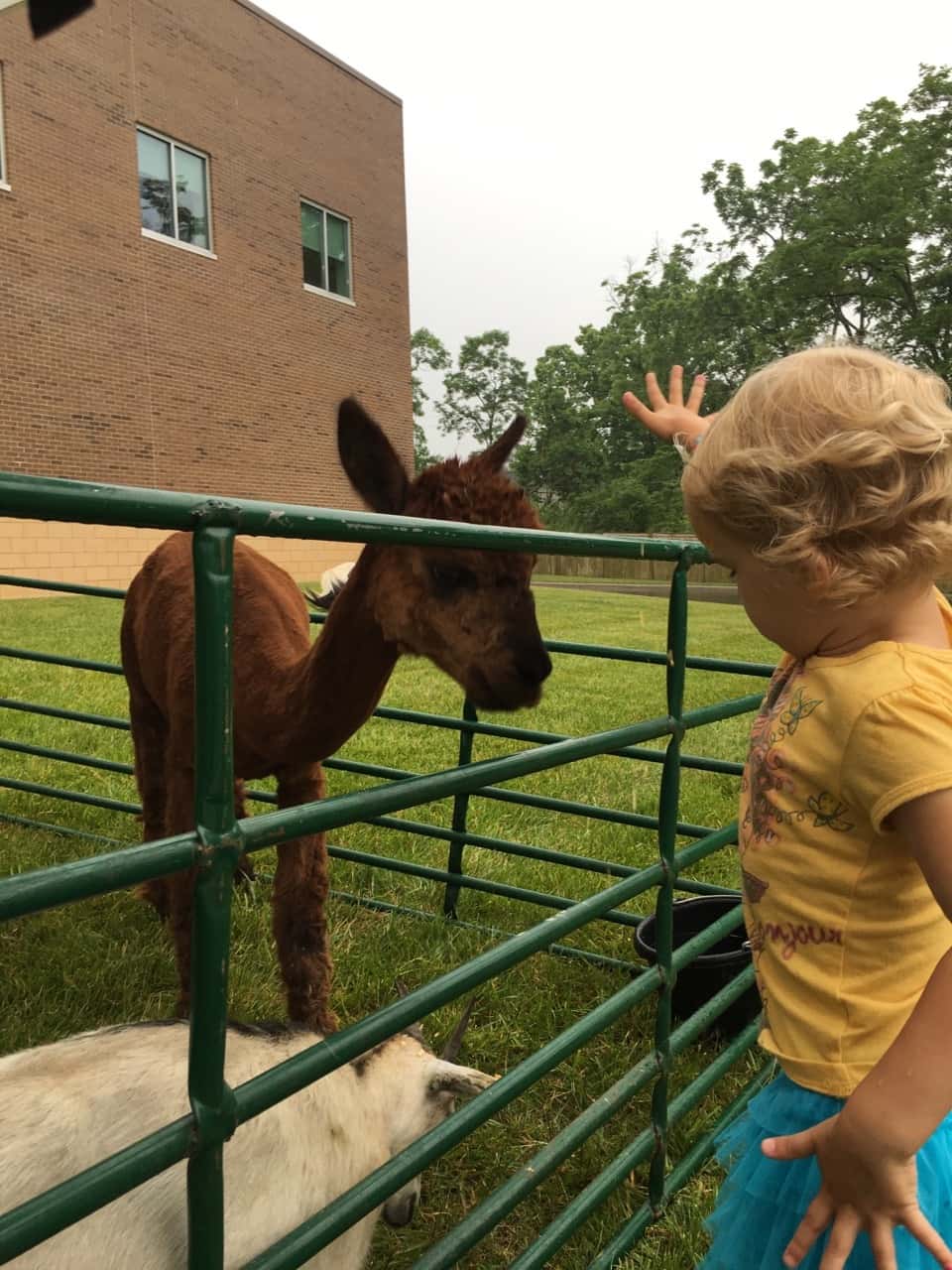 Ice cream social fun at the JCC! Gwen and Josie really liked sharing their ice cream.