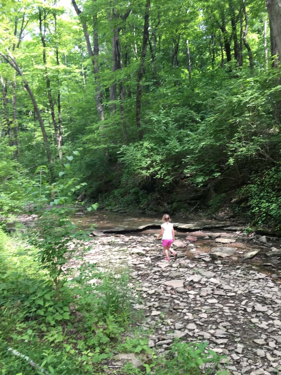 We spent our first Mama and Abby day of the summer riding bikes at Sharon Woods, and hiking at both Whitacre Park and French Park! Our first bike ride together outside of our neighborhood was fun, but not as much fun (for Abby) as walking in the creek. Abby delighted in skipping along the creek rocks at French Park.