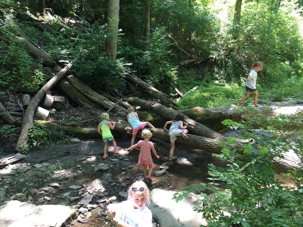 I am so proud of these Daisy Girl Scouts (and sisters)! They all did such a great job hiking and creeking today at French Park! And, they had a really good time too!